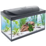 Аквариумный набор Tetra Starter Line LED прямой, 54 л